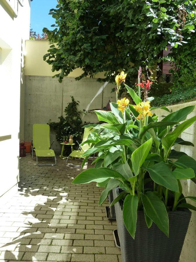 Ferienwohnung Baumann Ringsheim Camera foto