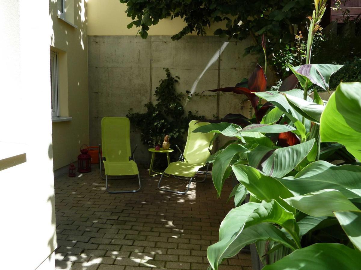 Ferienwohnung Baumann Ringsheim Camera foto